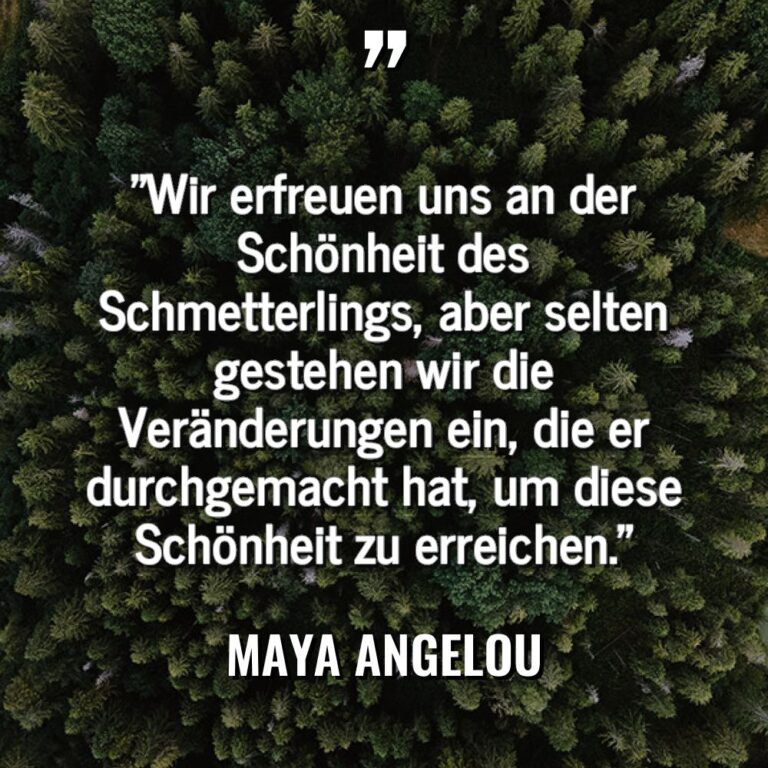 „Wir erfreuen uns an der Schönheit des Schmetterlings, aber selten... - Maya Angelou Zitate