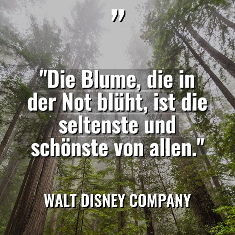 „Die Blume, die in der Not blüht, ist die seltenste... - Walt Disney Company Zitate