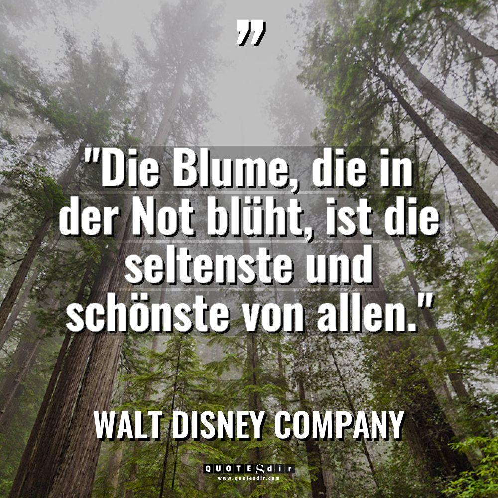 „Die Blume, die in der Not blüht, ist die seltenste... - Walt Disney Company Zitate