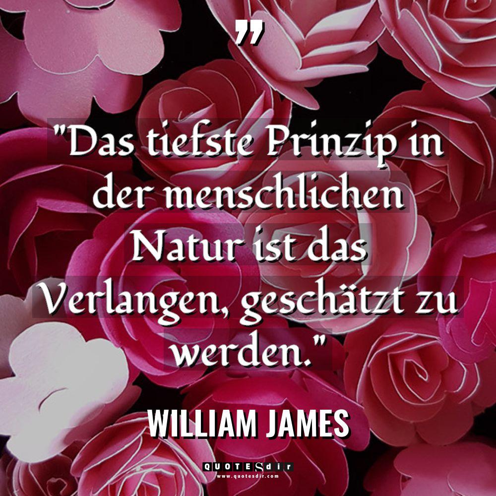 „Das tiefste Prinzip in der menschlichen Natur ist das Verlangen,... - William James Zitate