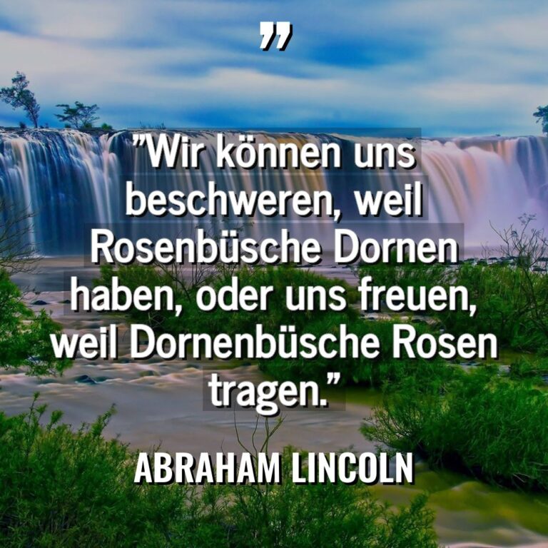 „Wir können uns beschweren, weil Rosenbüsche Dornen haben, oder uns... - Abraham Lincoln Zitate