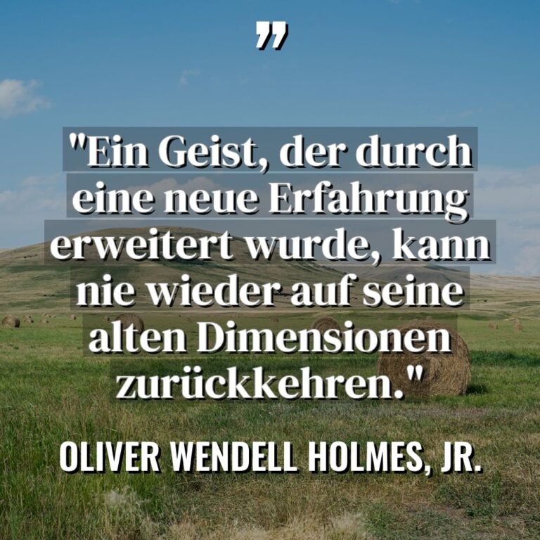 „Ein Geist, der durch eine neue Erfahrung erweitert wurde, kann... - Oliver Wendell Holmes, Jr. Zitate