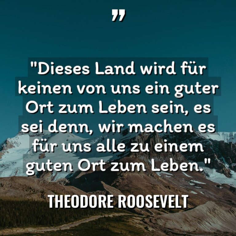 „Dieses Land wird für keinen von uns ein guter Ort... - Theodore Roosevelt Zitate