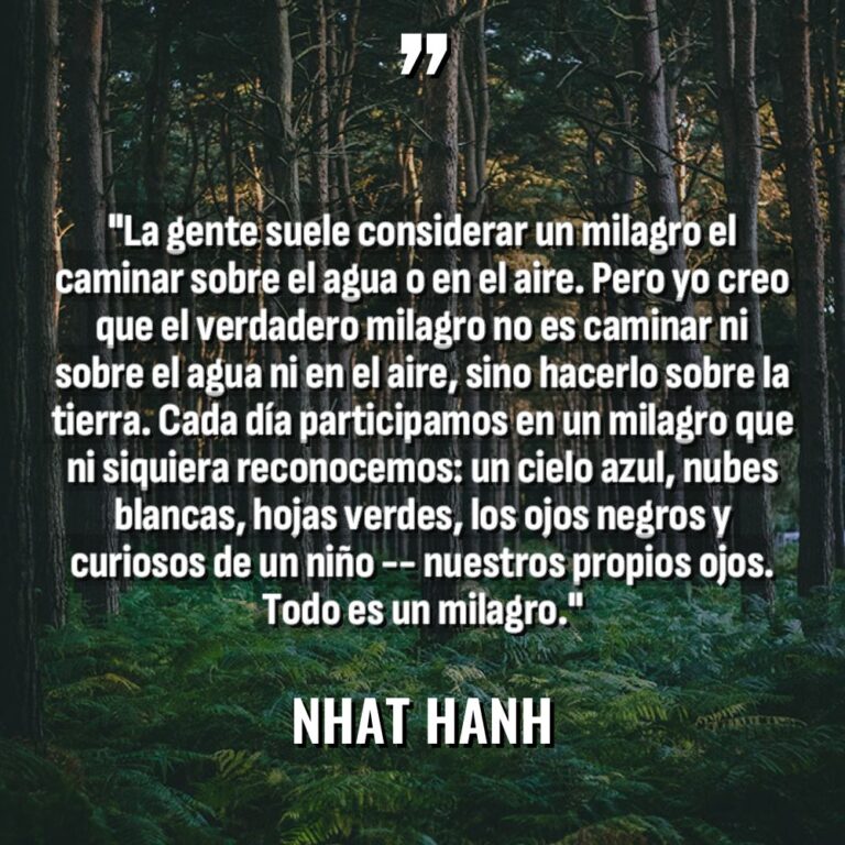 «La gente suele considerar un milagro el caminar sobre el... - Nhat Hanh Citas