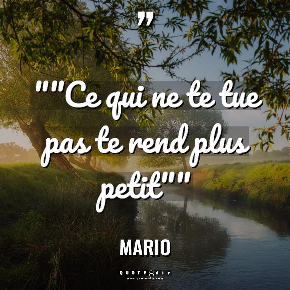 «  »Ce qui ne te tue pas te rend plus petit » »... - Mario Citations