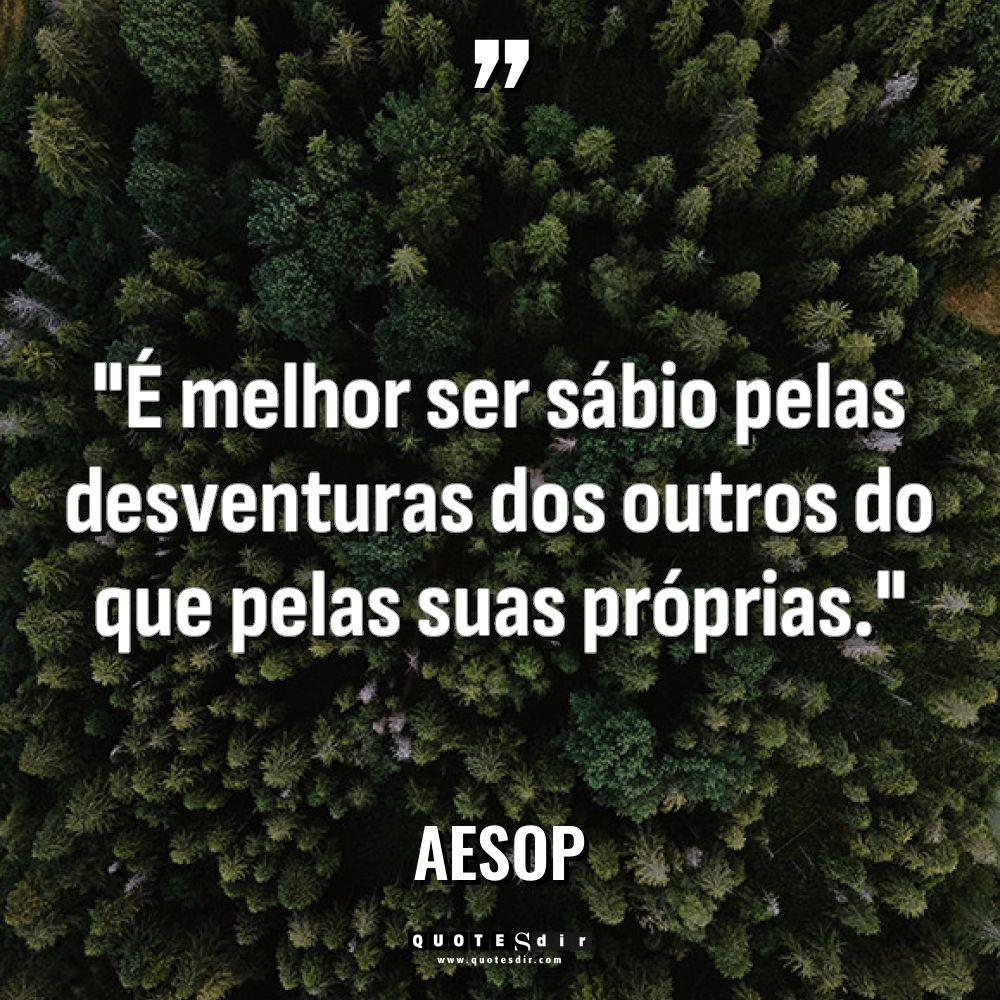“É melhor ser sábio pelas desventuras dos outros do que... - Aesop Citações