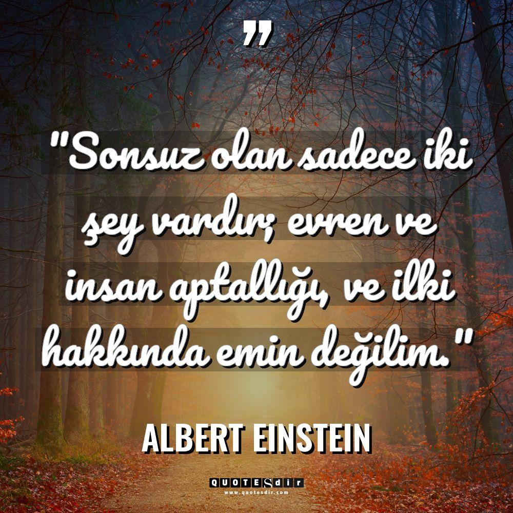 "Sonsuz olan sadece iki şey vardır; evren ve insan ap