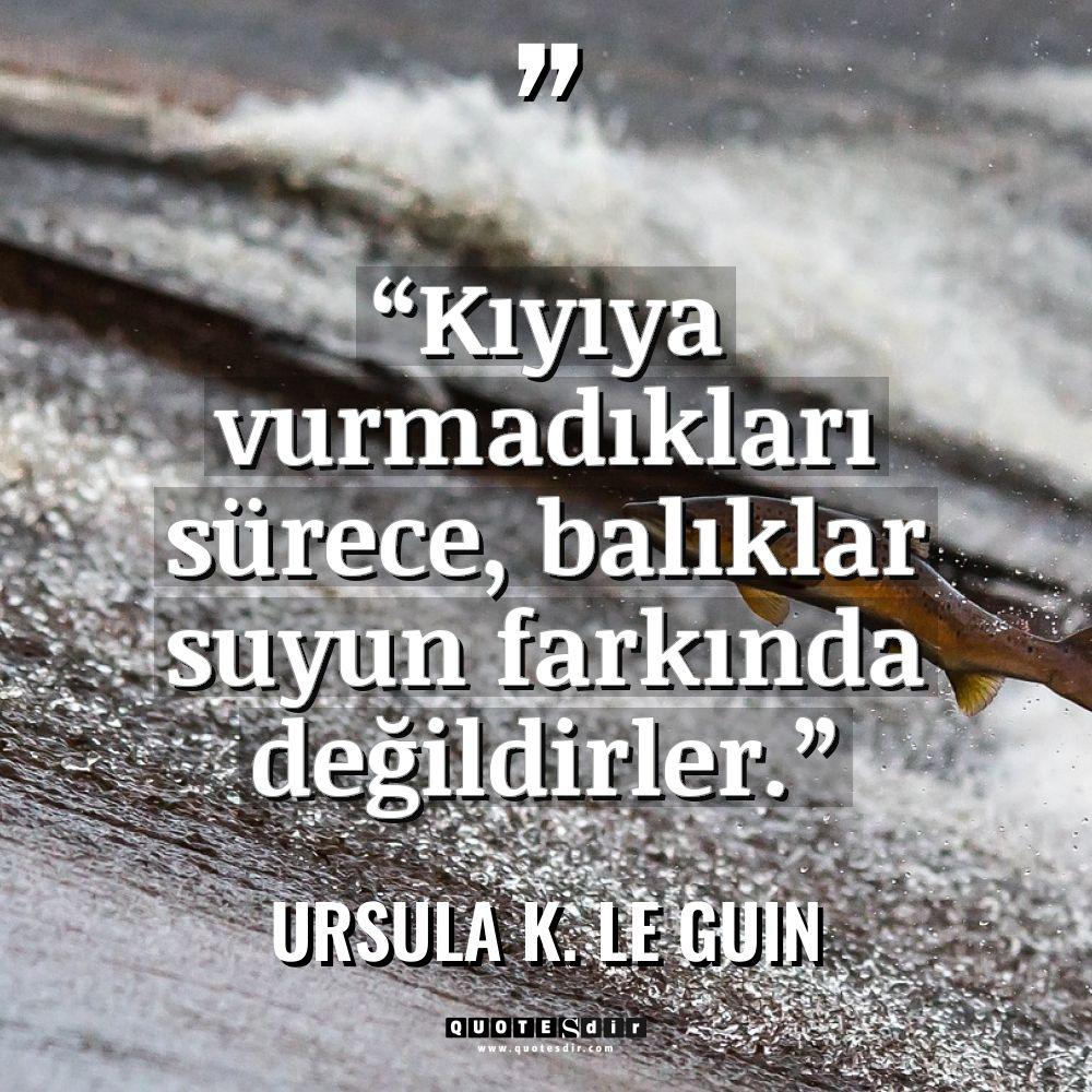 “Kıyıya vurmadıkları sürece, balıklar suyun far