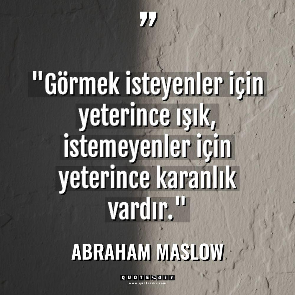 "Görmek isteyenler için yeterince ışık, istemeyenl