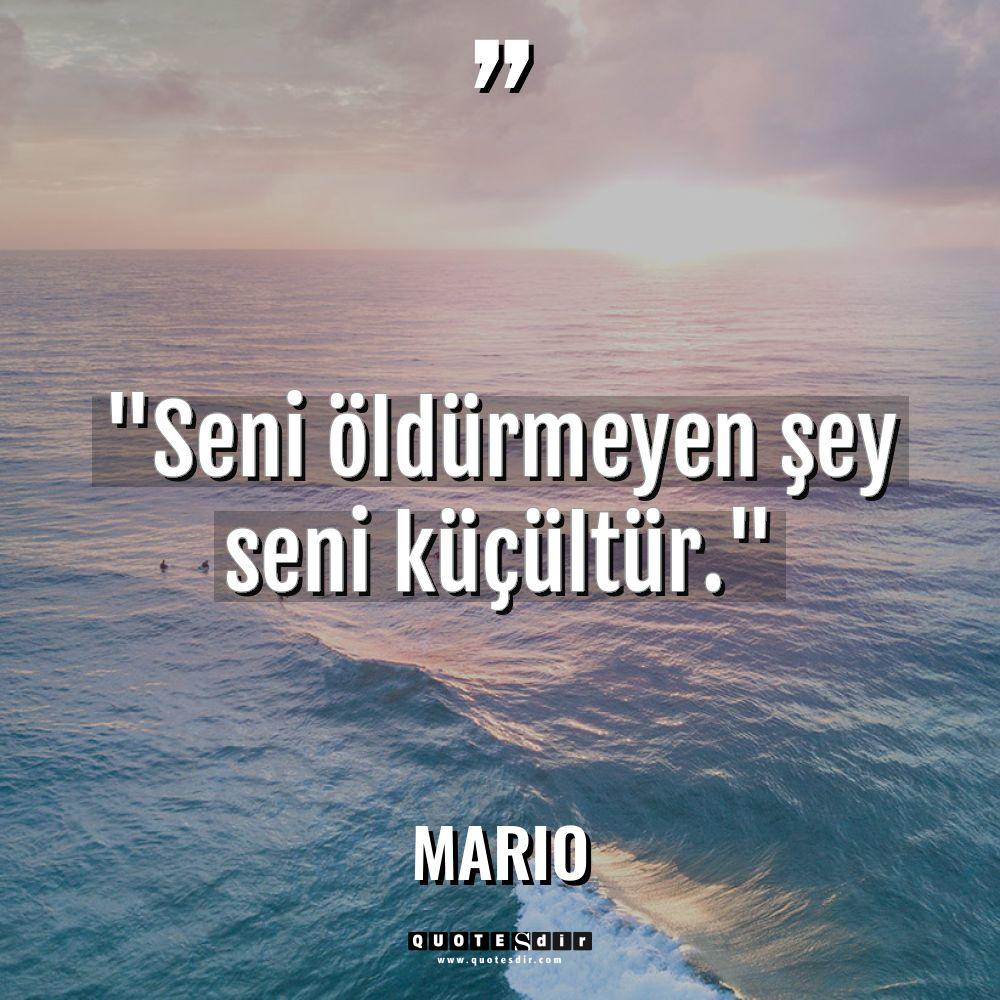 "Seni öldürmeyen şey seni küçültür."
