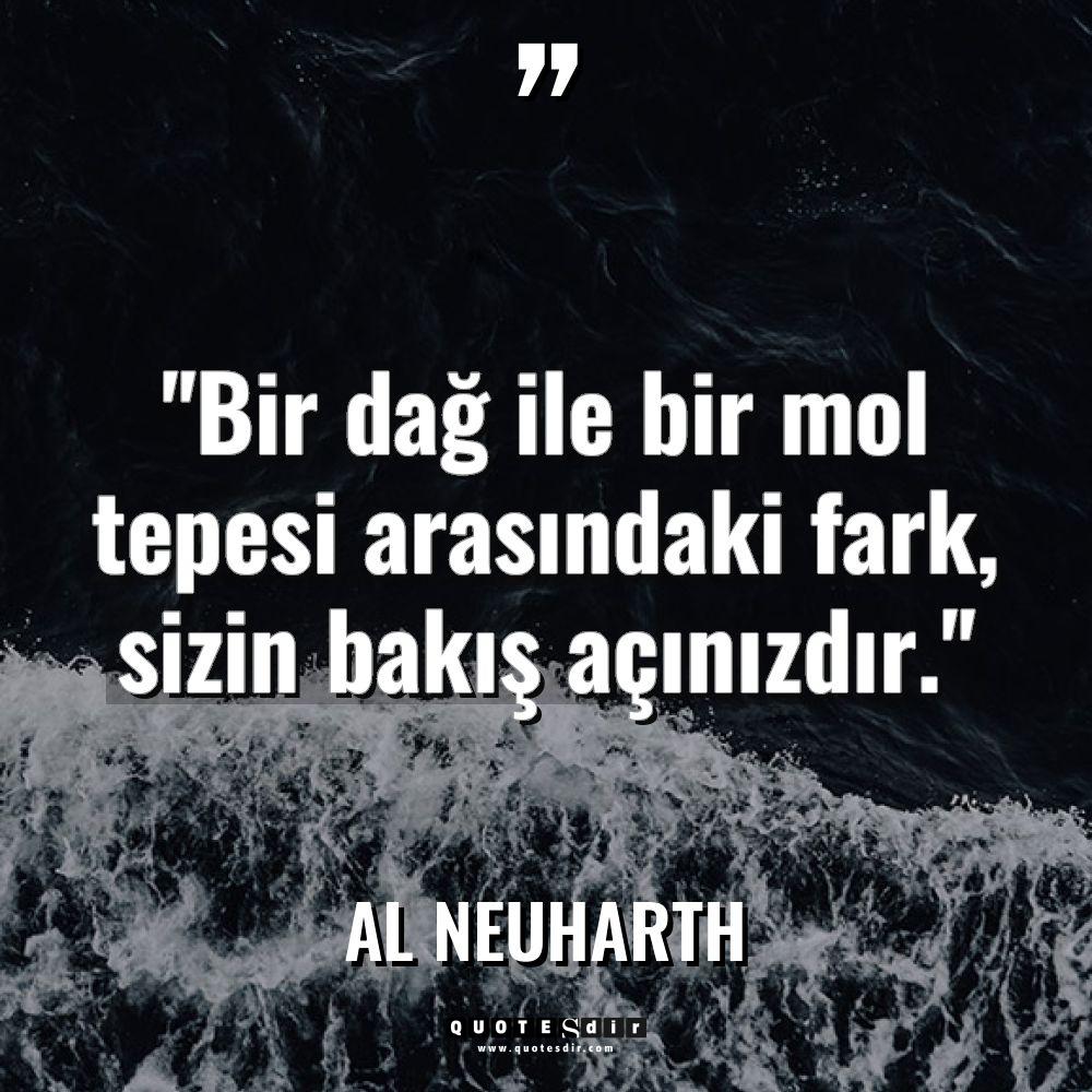 "Bir dağ ile bir mol tepesi arasındaki fark, sizin ba