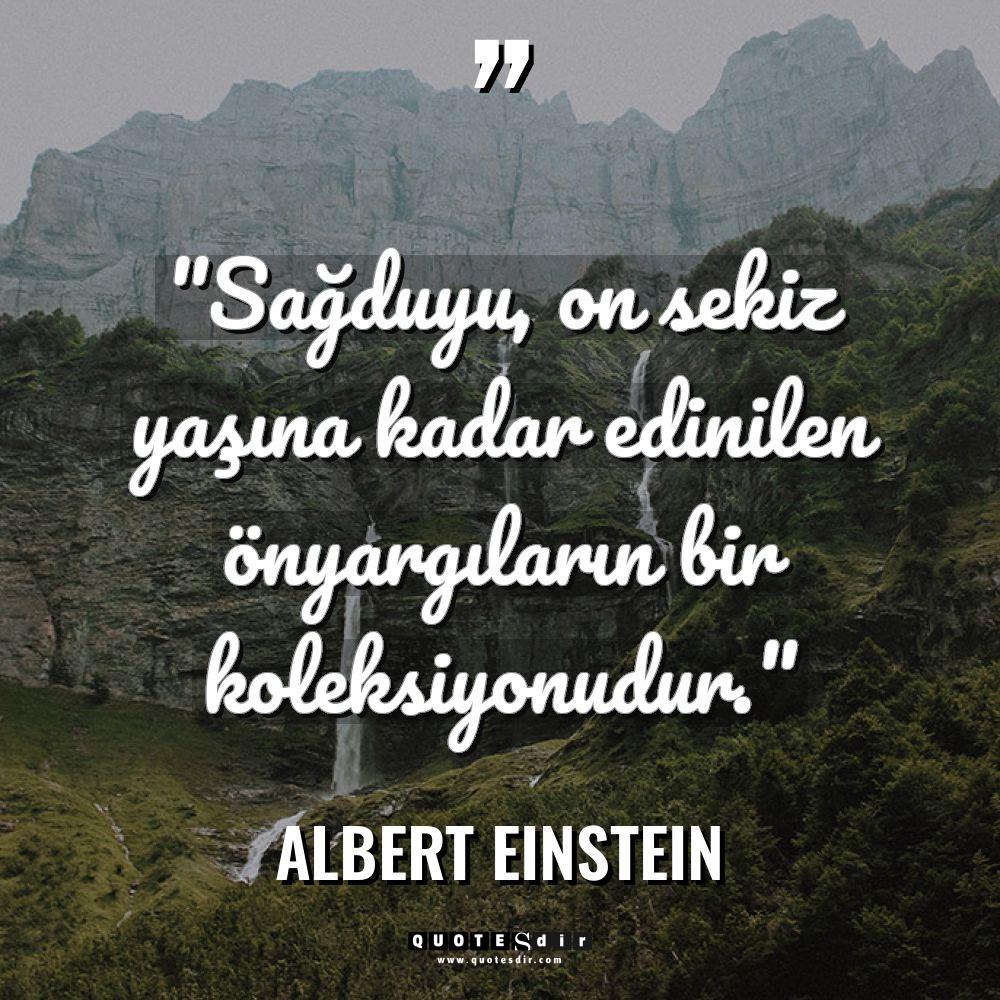 "Sağduyu, on sekiz yaşına kadar edinilen önyargıla