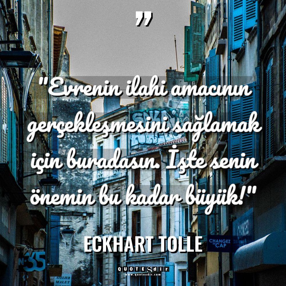 "Evrenin ilahi amacının gerçekleşmesini sağlamak i
