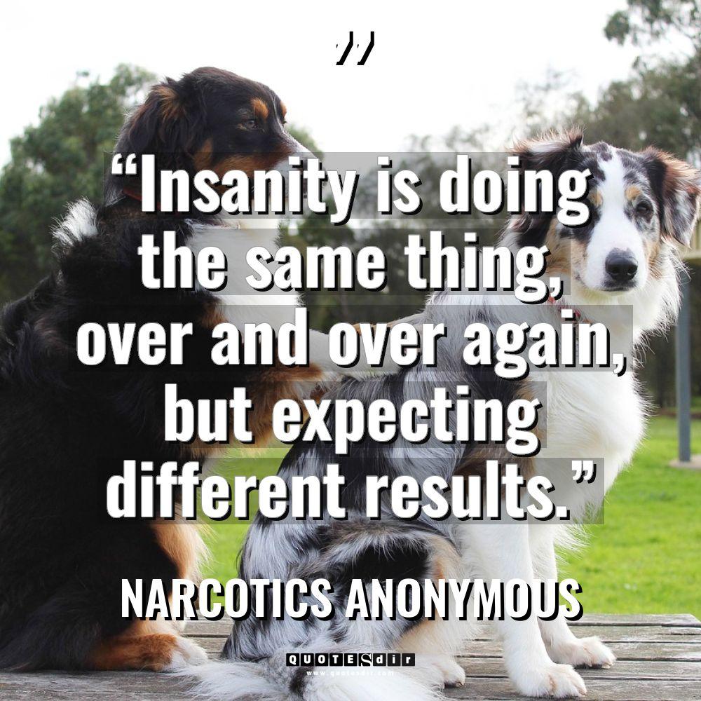 “Insanity is doing the same thing, over and over again,... - Narcotics Anonymous Quotes