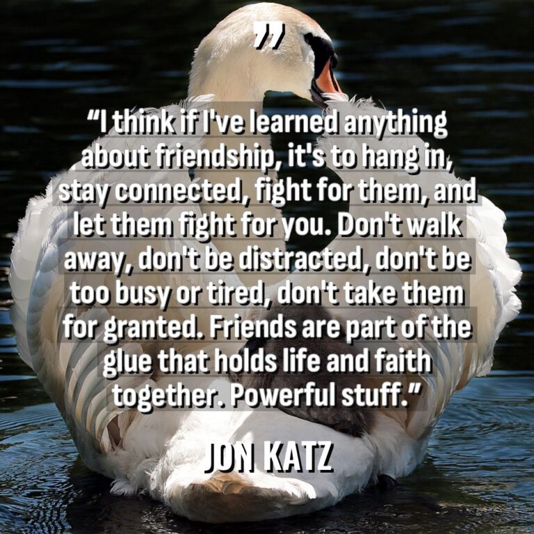 “I think if I’ve learned anything about friendship, it’s to... - Jon Katz Quotes