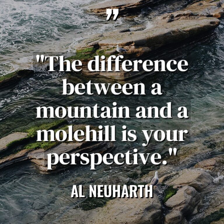 “The difference between a mountain and a molehill is your... - Al Neuharth Quotes