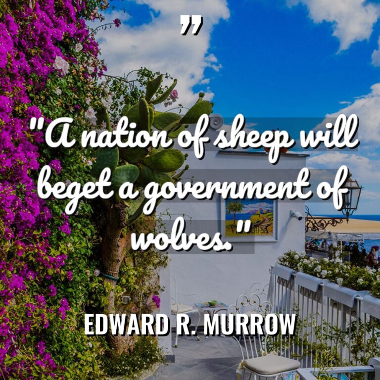 “A nation of sheep will beget a government of wolves.” - Edward R. Murrow Quotes