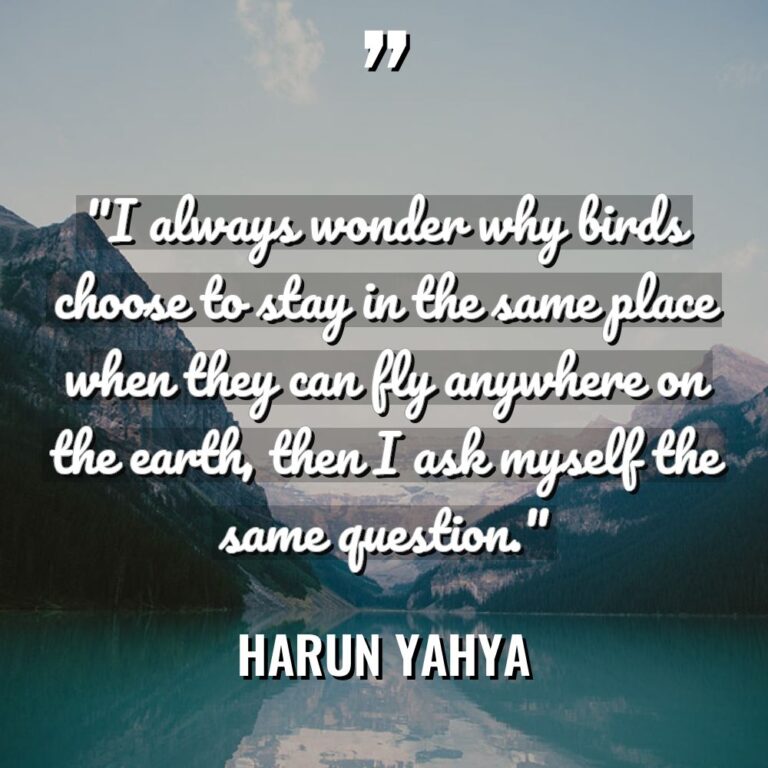 “I always wonder why birds choose to stay in the... - Harun Yahya Quotes