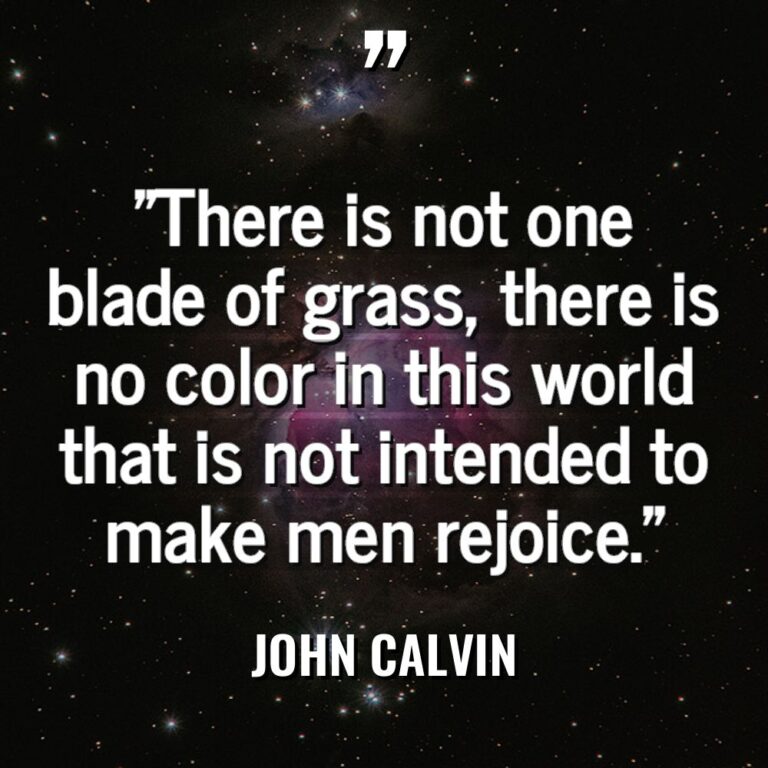 “There is not one blade of grass, there is no... - John Calvin Quotes