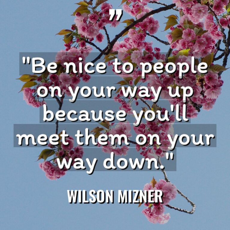 “Be nice to people on your way up because you’ll... - Wilson Mizner Quotes