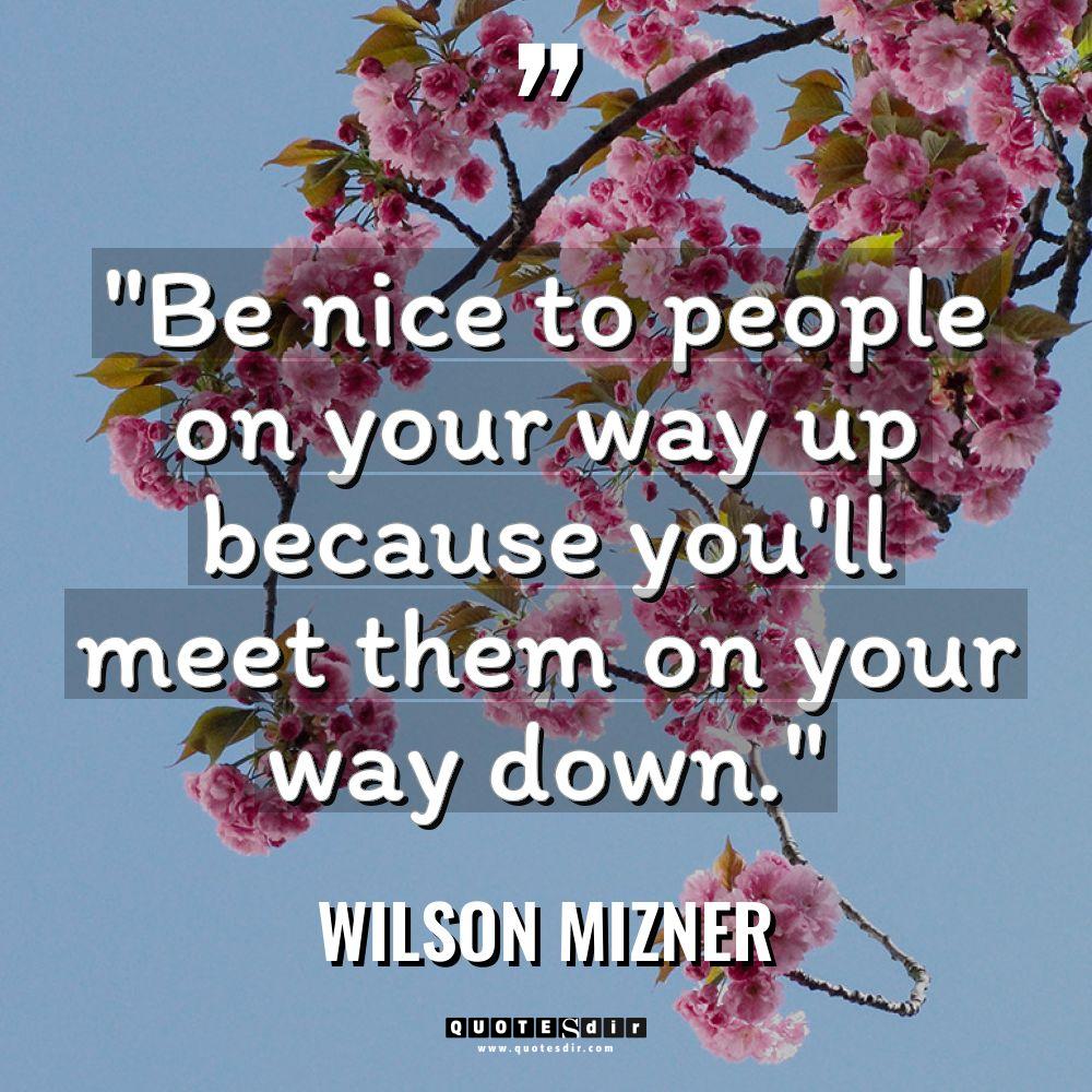 “Be nice to people on your way up because you’ll... - Wilson Mizner Quotes