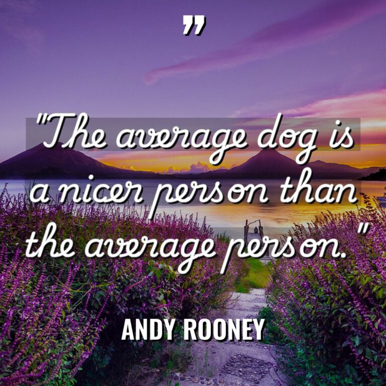 “The average dog is a nicer person than the average... - Andy Rooney Quotes