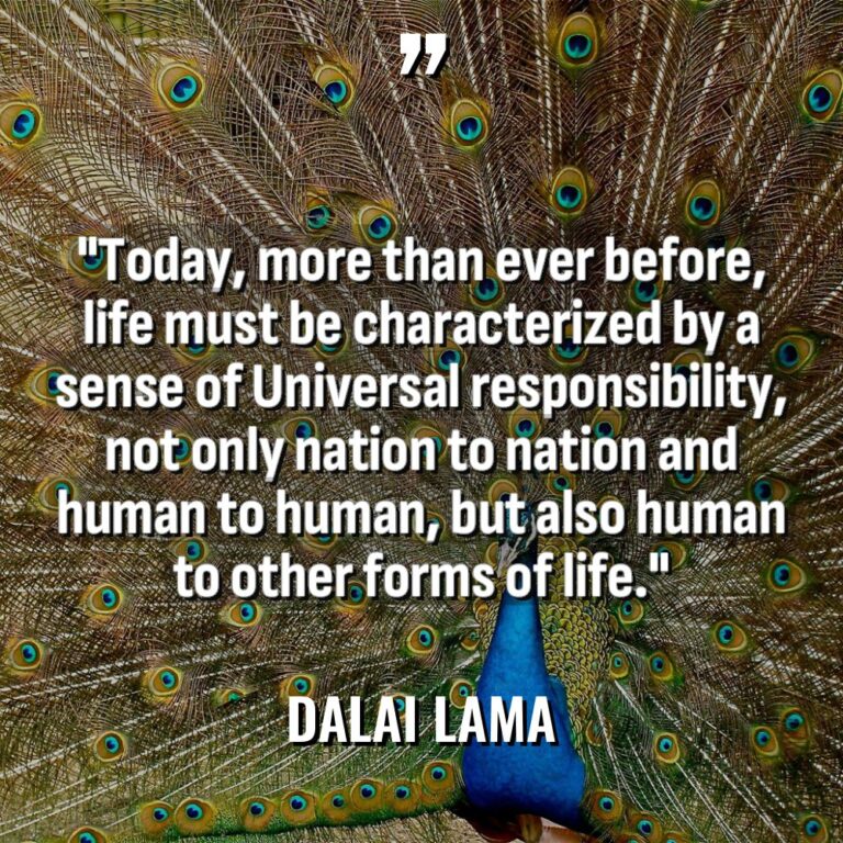 “Today, more than ever before, life must be characterized by... - Dalai Lama Quotes