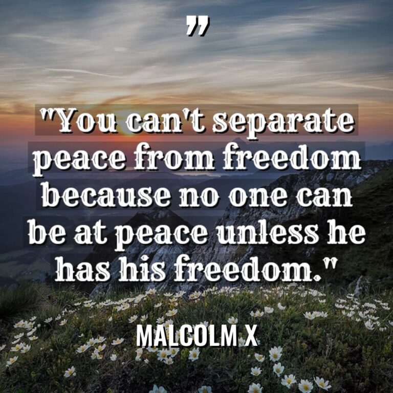 “You can’t separate peace from freedom because no one can... - Malcolm X Quotes