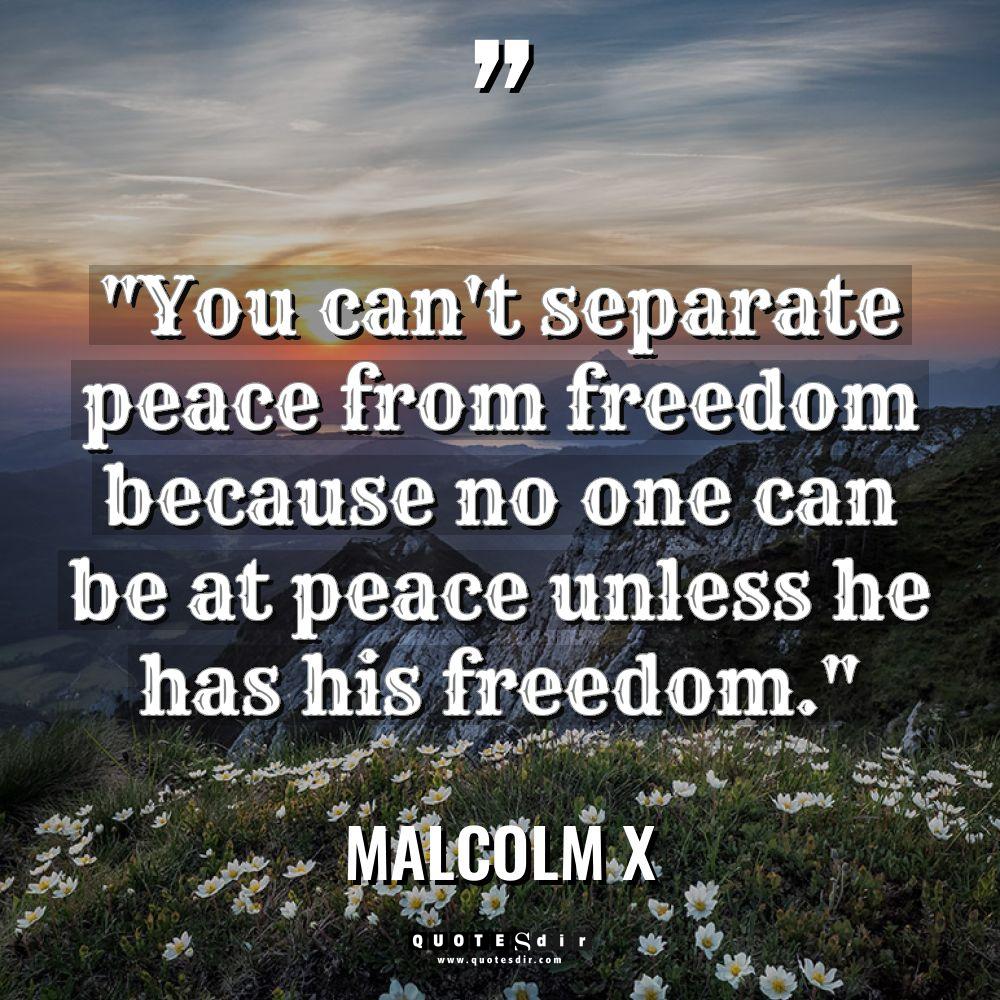 “You can’t separate peace from freedom because no one can... - Malcolm X Quotes
