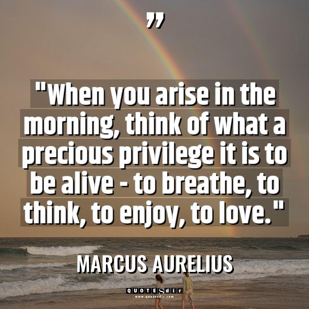 “When you arise in the morning, think of what a... - Marcus Aurelius Quotes