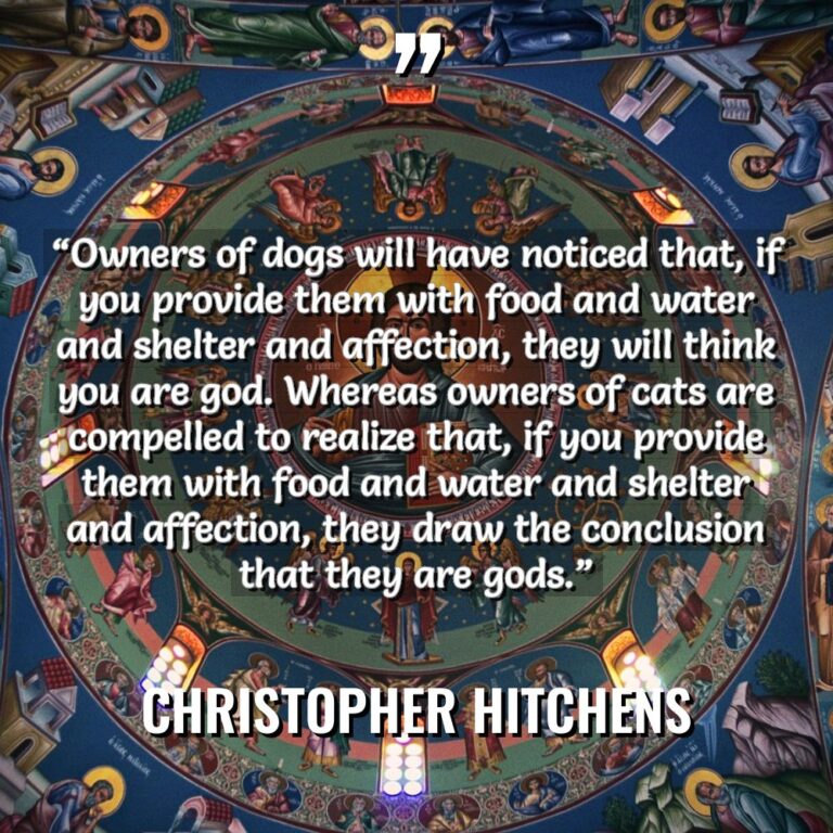 “Owners of dogs will have noticed that, if you provide... - Christopher Hitchens Quotes