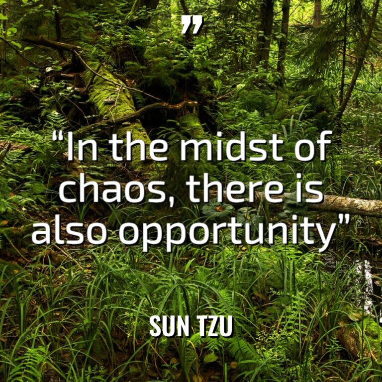 “In the midst of chaos, there is also opportunity” Warning:... - Sun Tzu Quotes