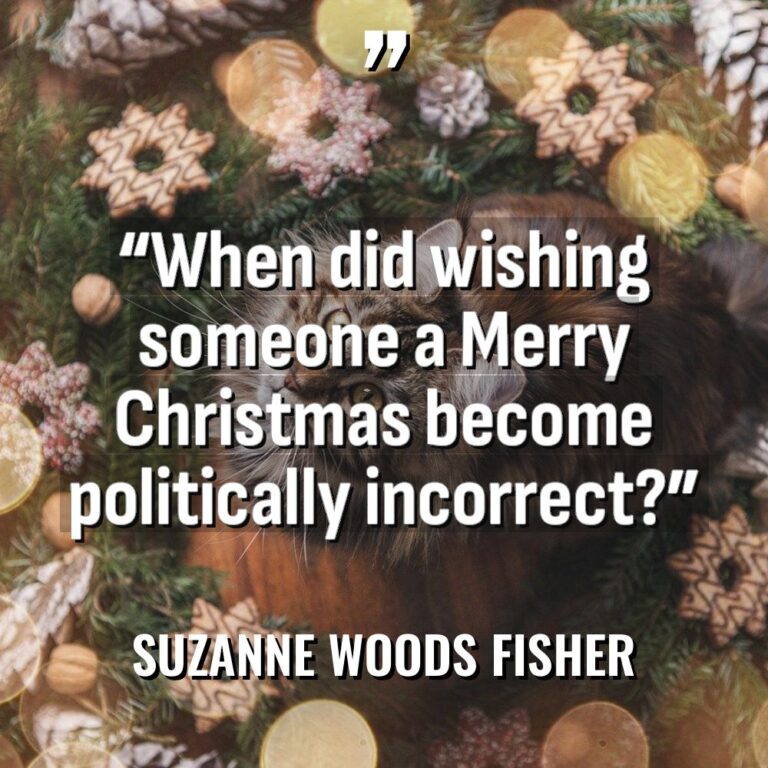 “When did wishing someone a Merry Christmas become politically incorrect?”... - Suzanne Woods Fisher Quotes