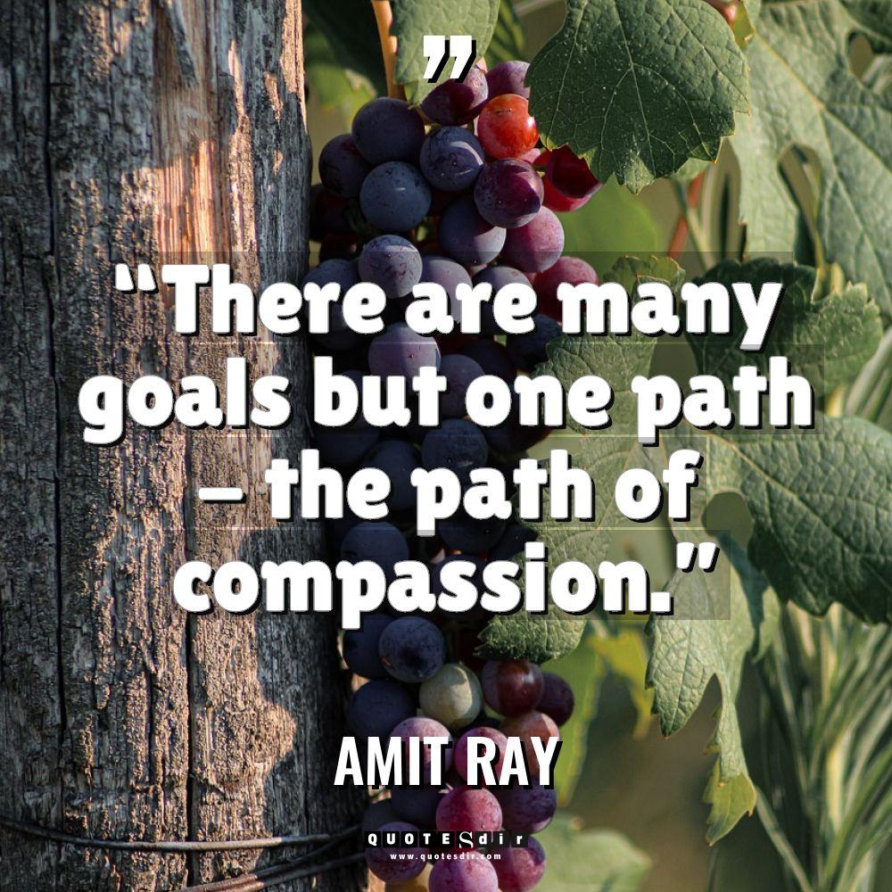 “There are many goals but one path – the path... - Amit Ray Quotes