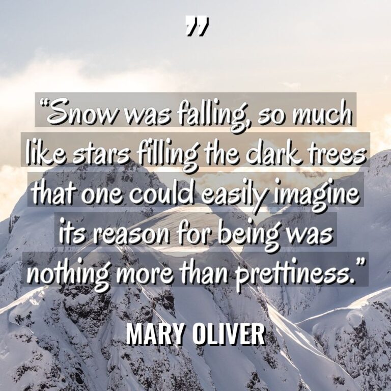 “Snow was falling, so much like stars filling the dark... - Mary Oliver Quotes