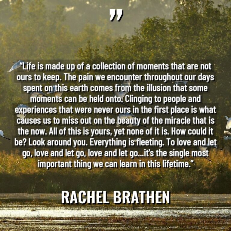 “Life is made up of a collection of moments that... - Rachel Brathen Quotes