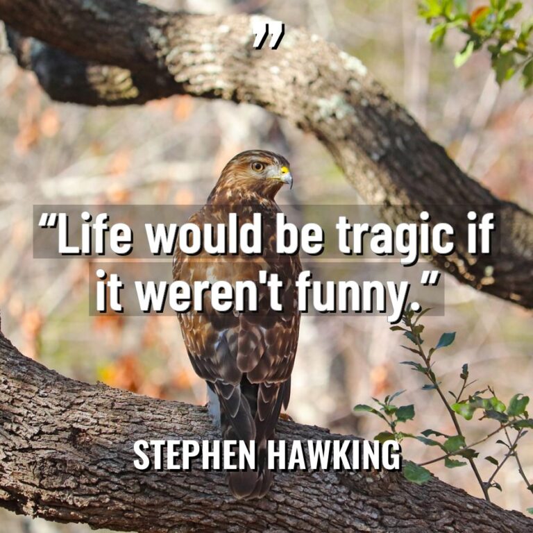 “Life would be tragic if it weren’t funny.” Warning: Undefined... - Stephen Hawking Quotes