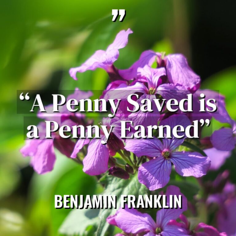 “A Penny Saved is a Penny Earned” - Benjamin Franklin Quotes