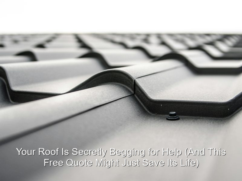 Your Roof Is Secretly Begging for Help (And This Free Quote Might Just Save Its Life)